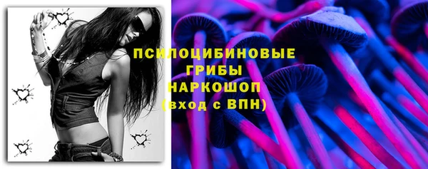 PSILOCYBIN Покачи