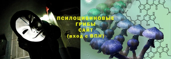 PSILOCYBIN Покачи