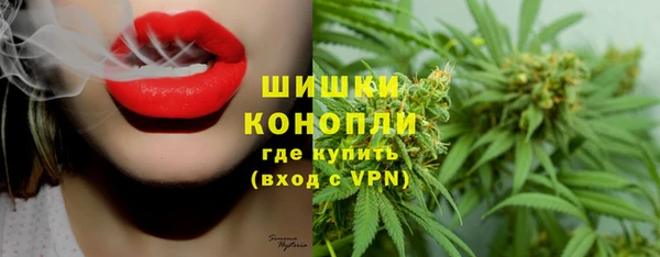 шишки Покров