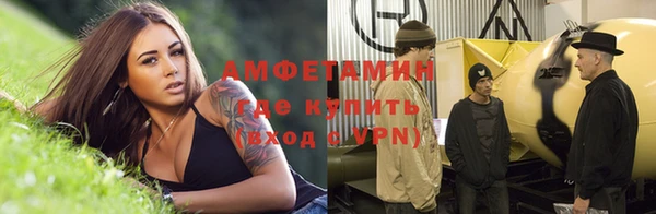 PSILOCYBIN Покачи