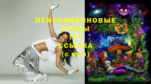 PSILOCYBIN Покачи