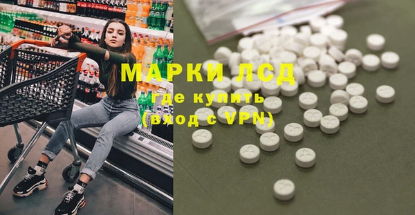 PSILOCYBIN Покачи