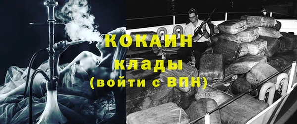 шишки Покров