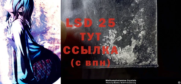 PSILOCYBIN Покачи