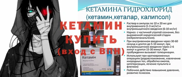 PSILOCYBIN Покачи