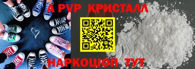 стафф Шелехов