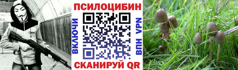 Галлюциногенные грибы ЛСД  Альметьевск 